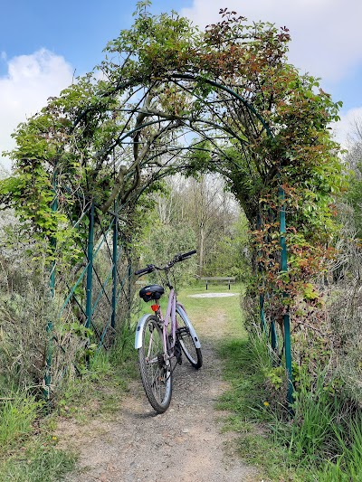 Chadwell Millennium Green
